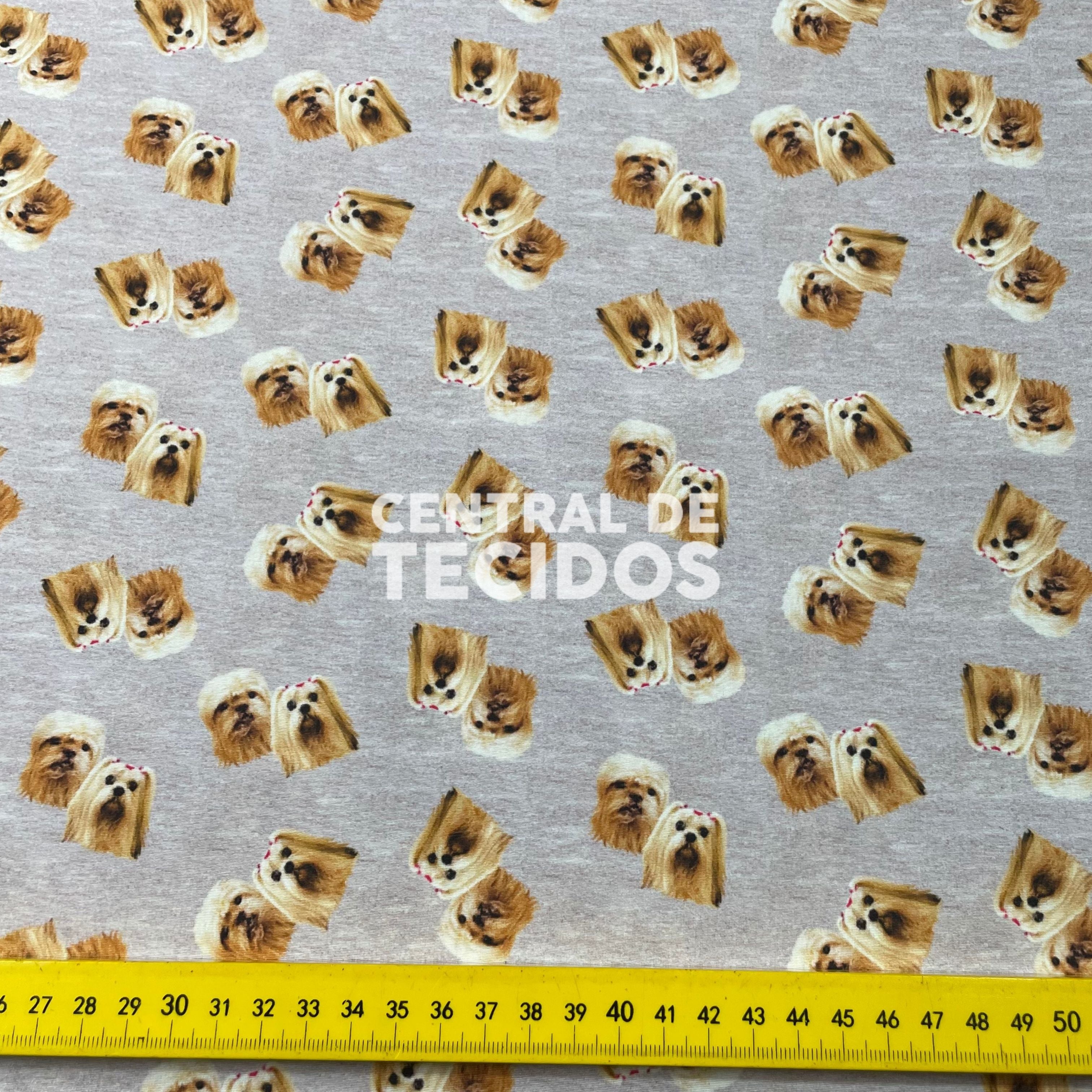 Microtel Digital Shih-Tzu Caramelo