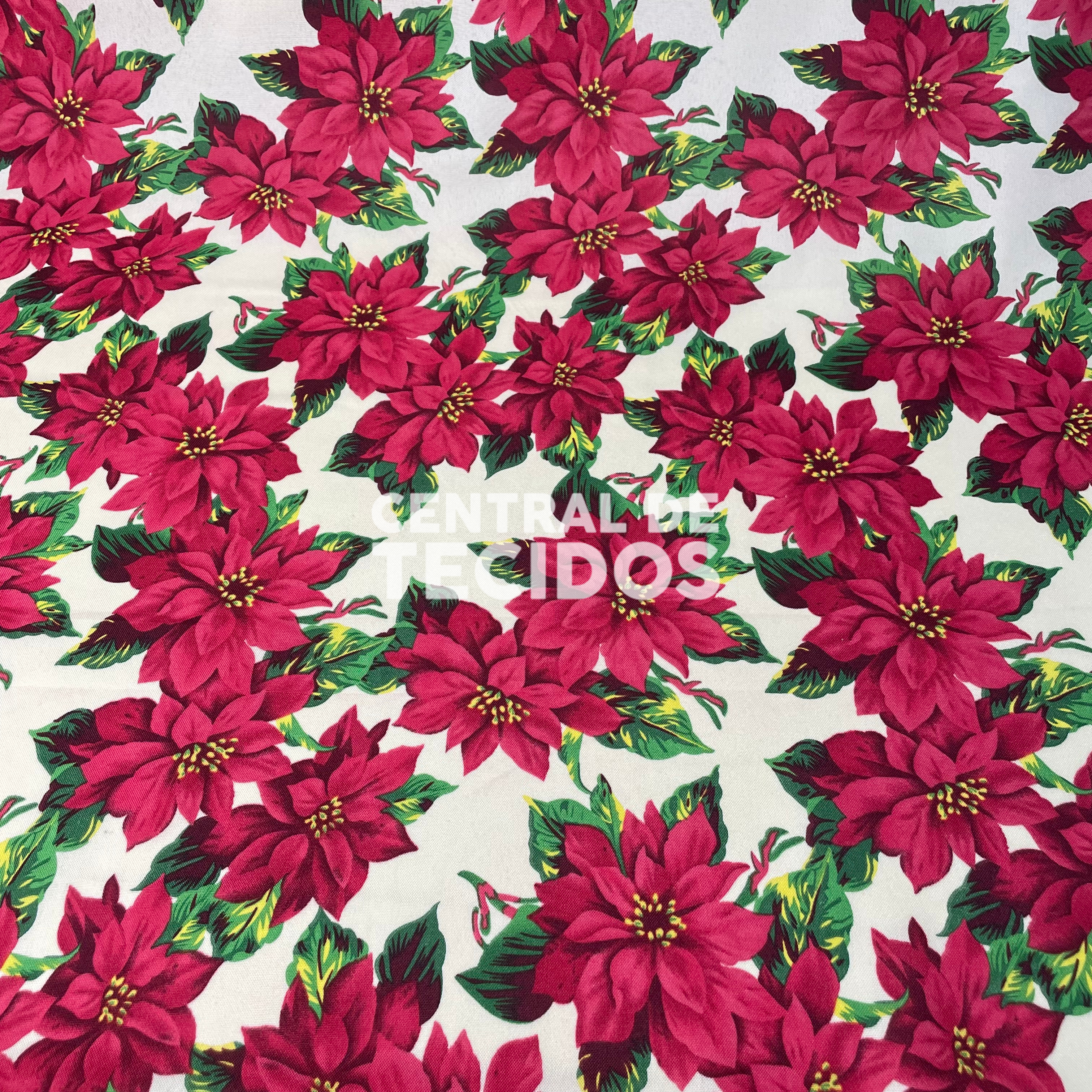 Oxford Natalino Jardim de Poinsétias Bordô Fundo Branco