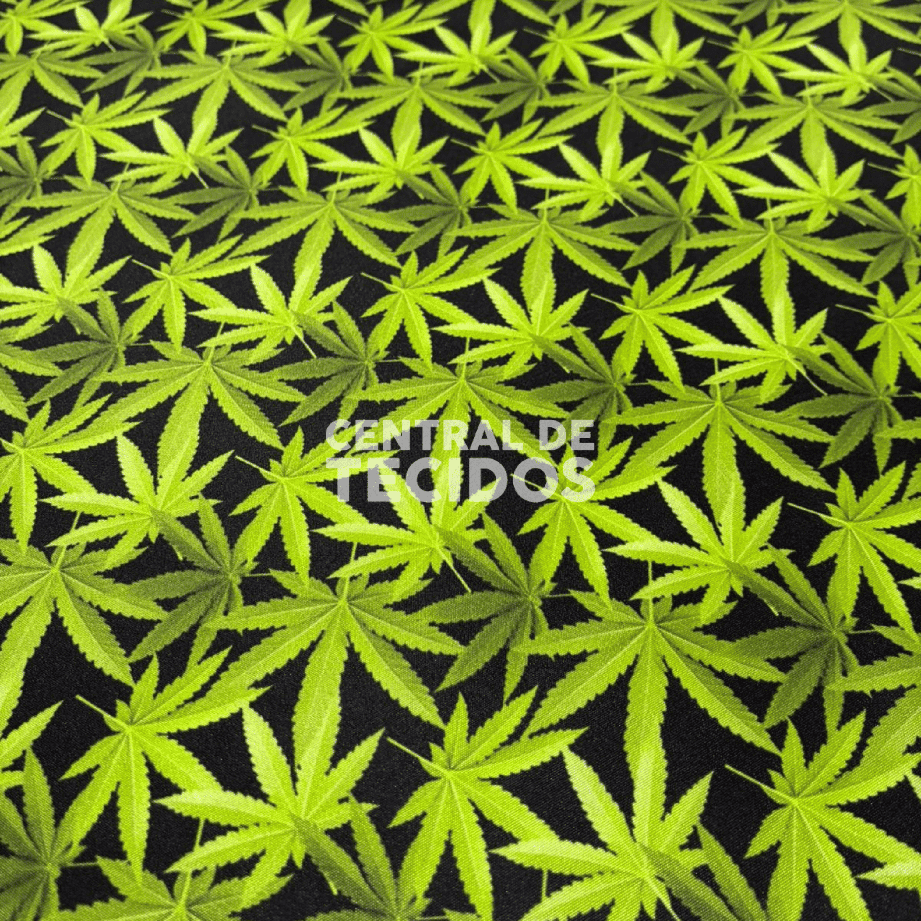 Microtel Digital Folha Cannabis Fundo Preto