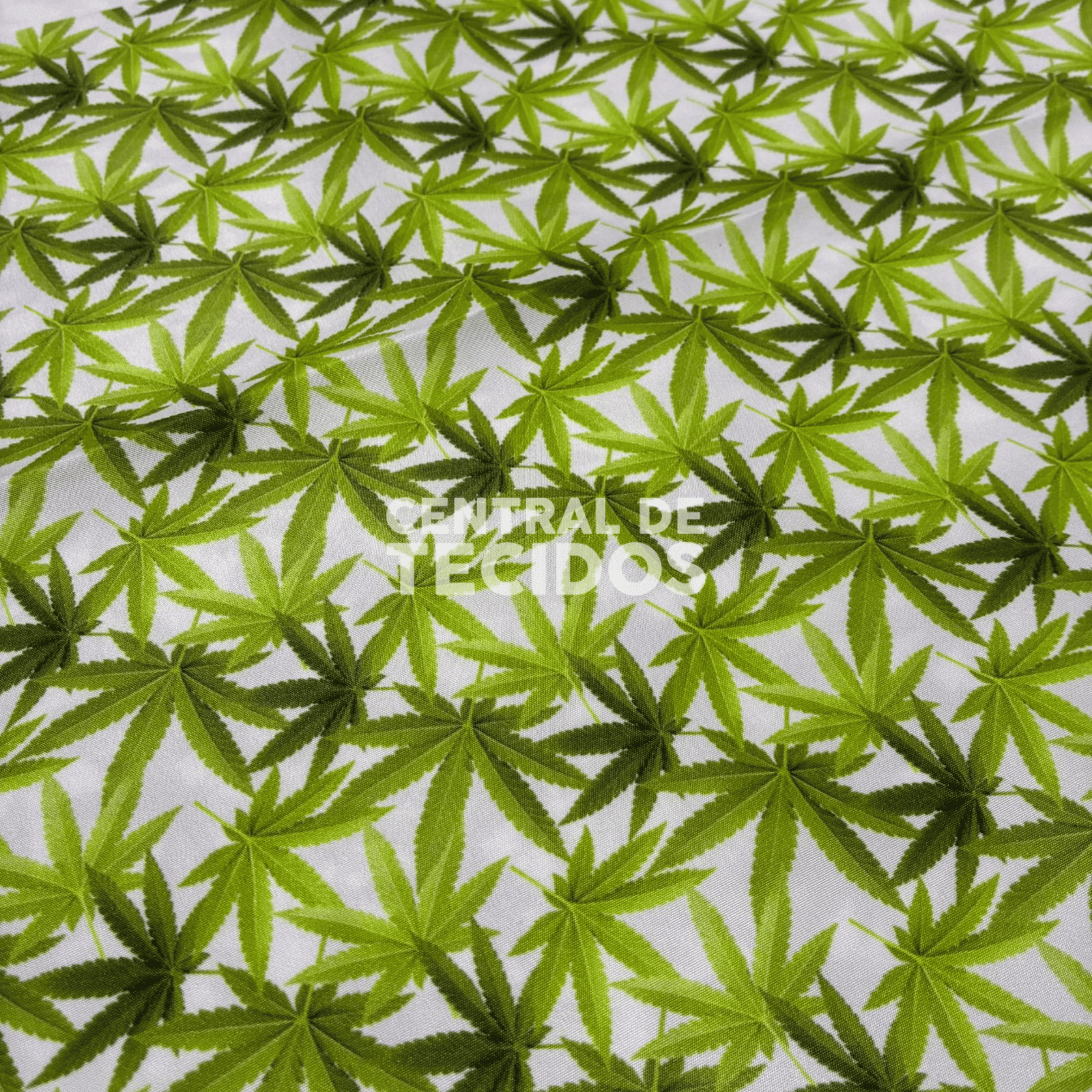 Microtel Digital Folha Cannabis Fundo Branco