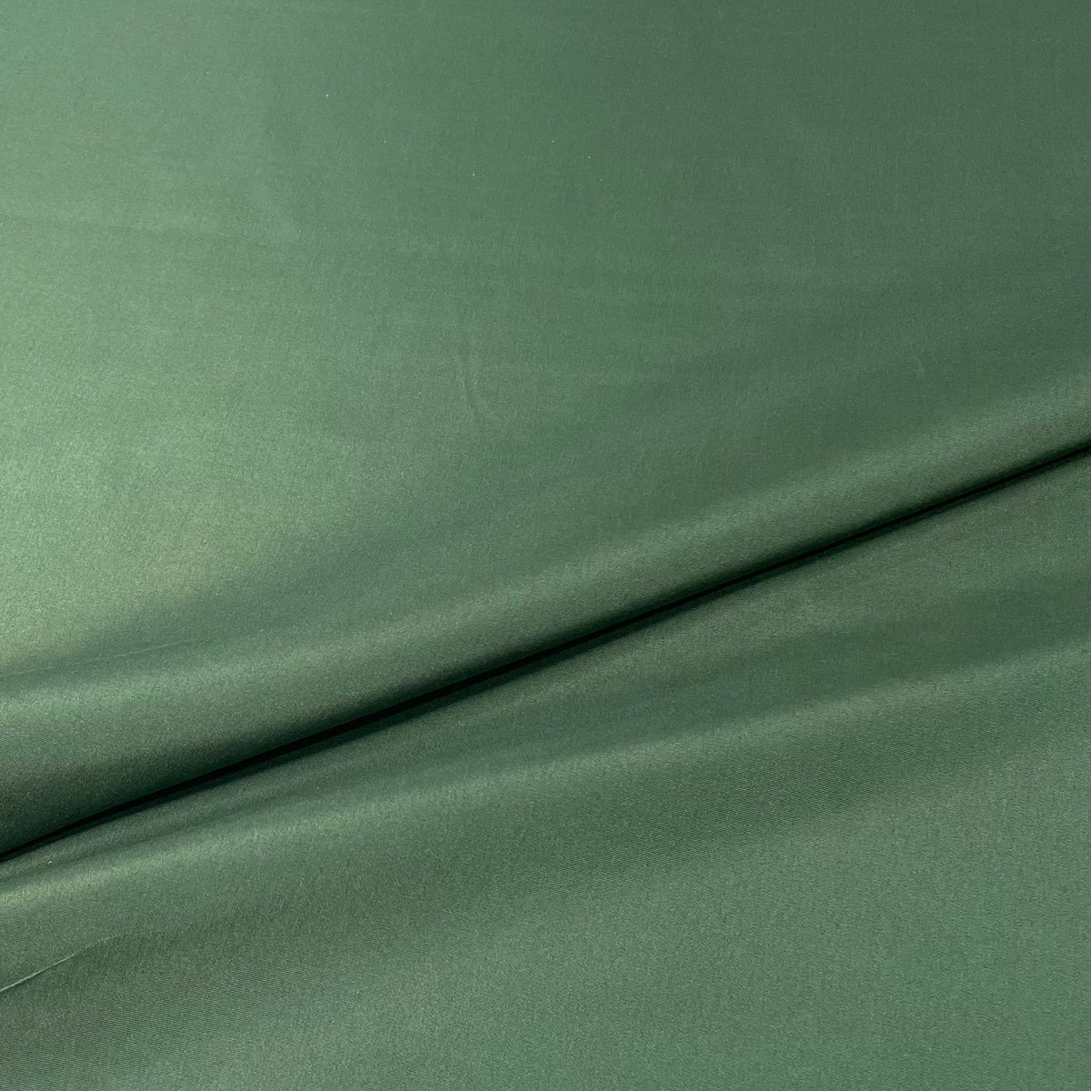 Microtel Verde Folha