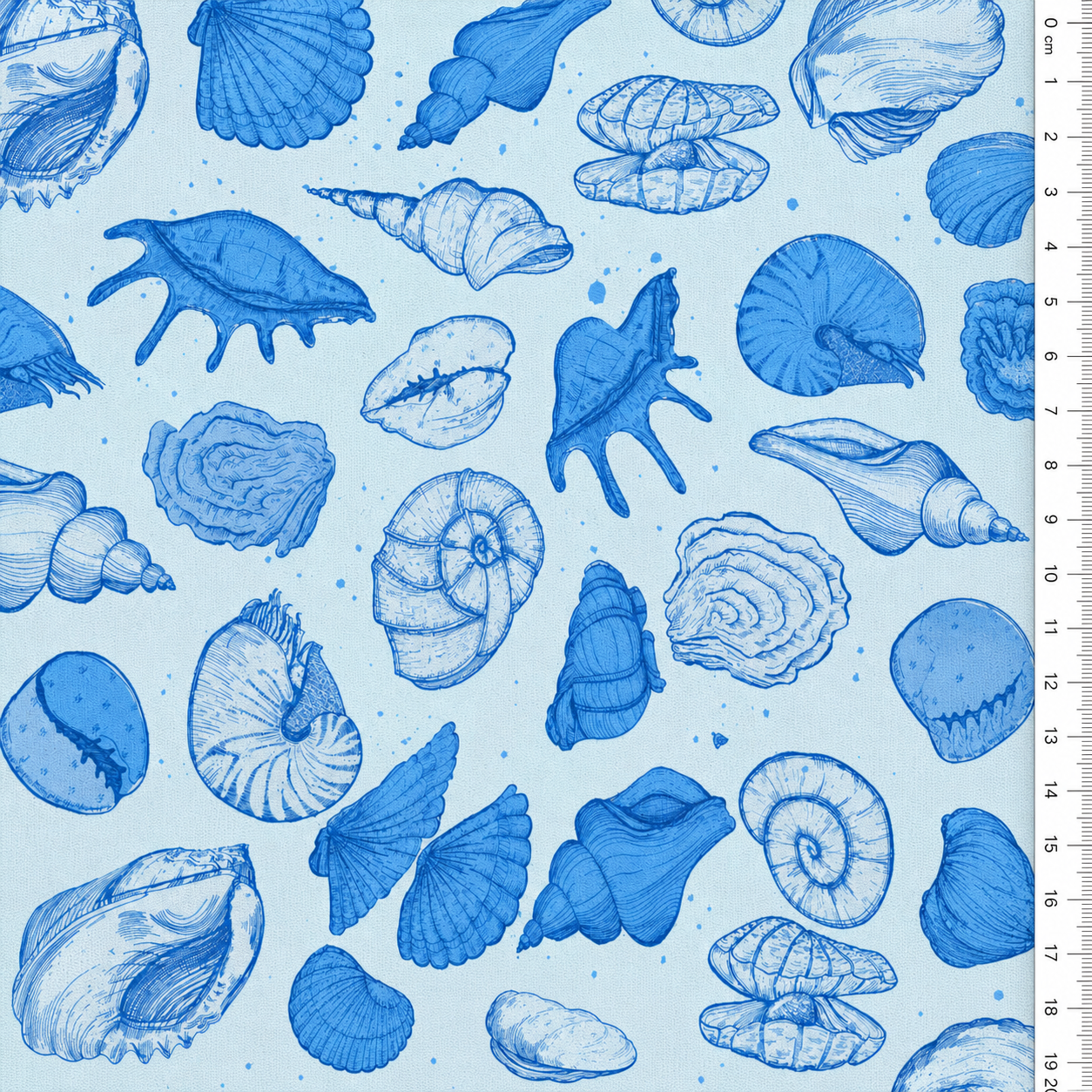 Oxford Digital Conchas Azul Fundo Azul Celeste
