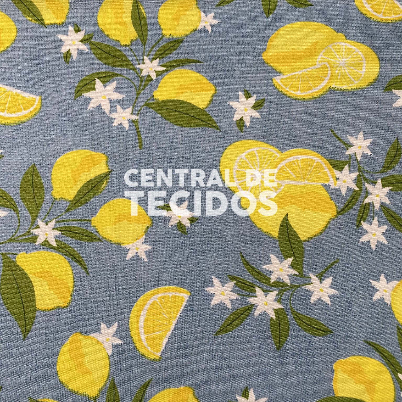 Oxford Limões Fundo Azul Jeans