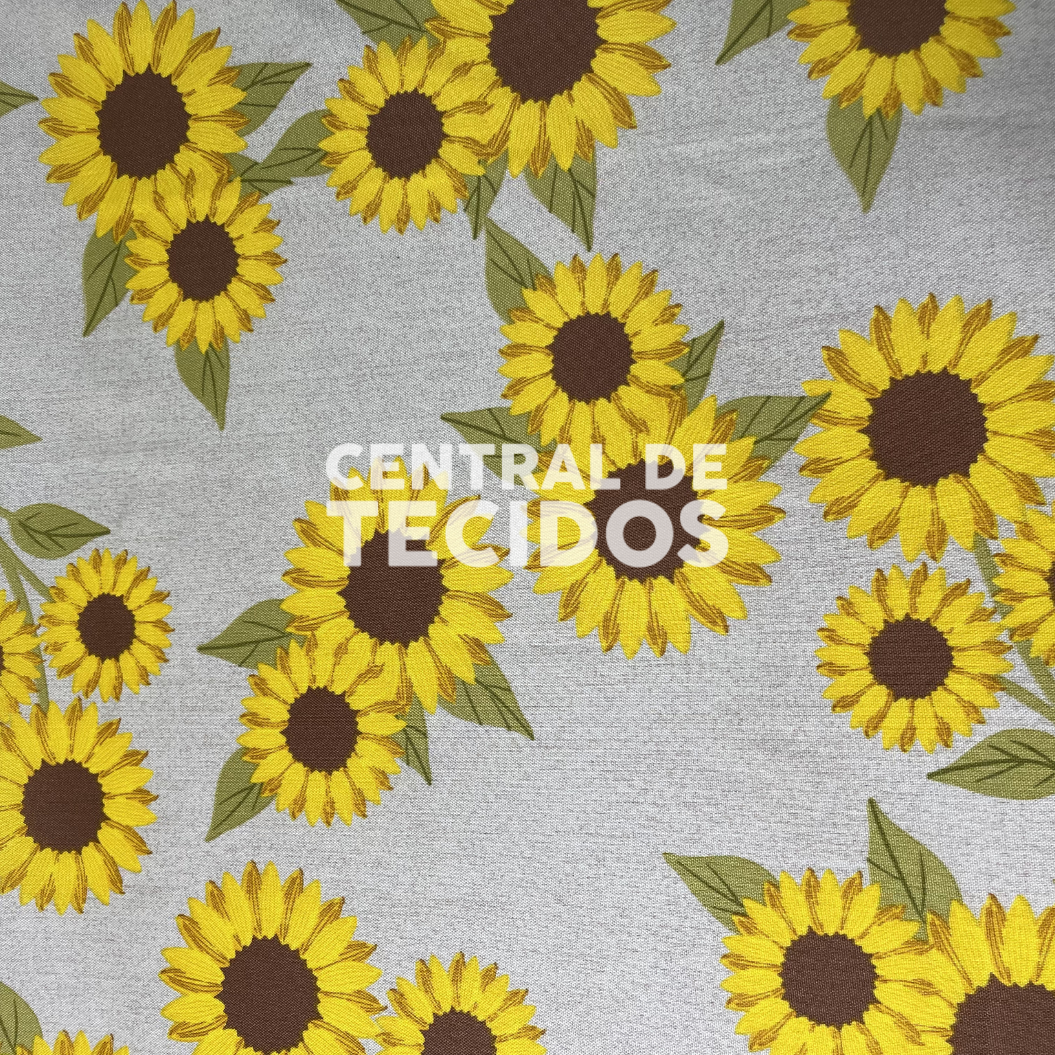 Oxford Girassol Fundo Bege