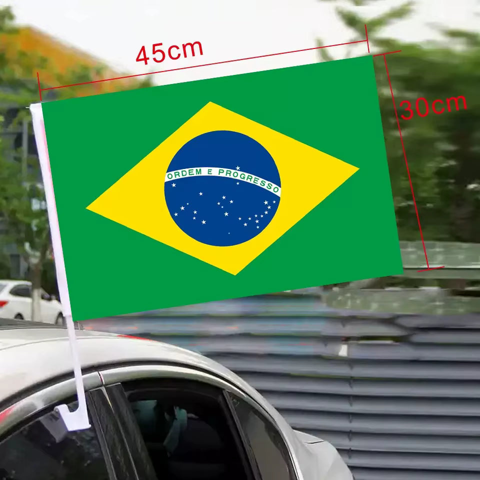 Bandeira Brasil Haste para Carro 30x45cm