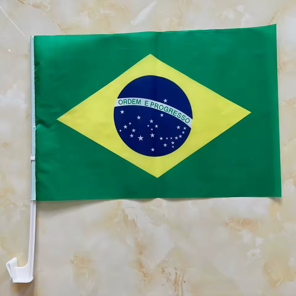 Bandeira Brasil Haste para Carro 30x45cm